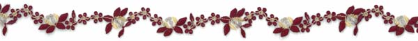 Embroidered Edging - Wine/gold